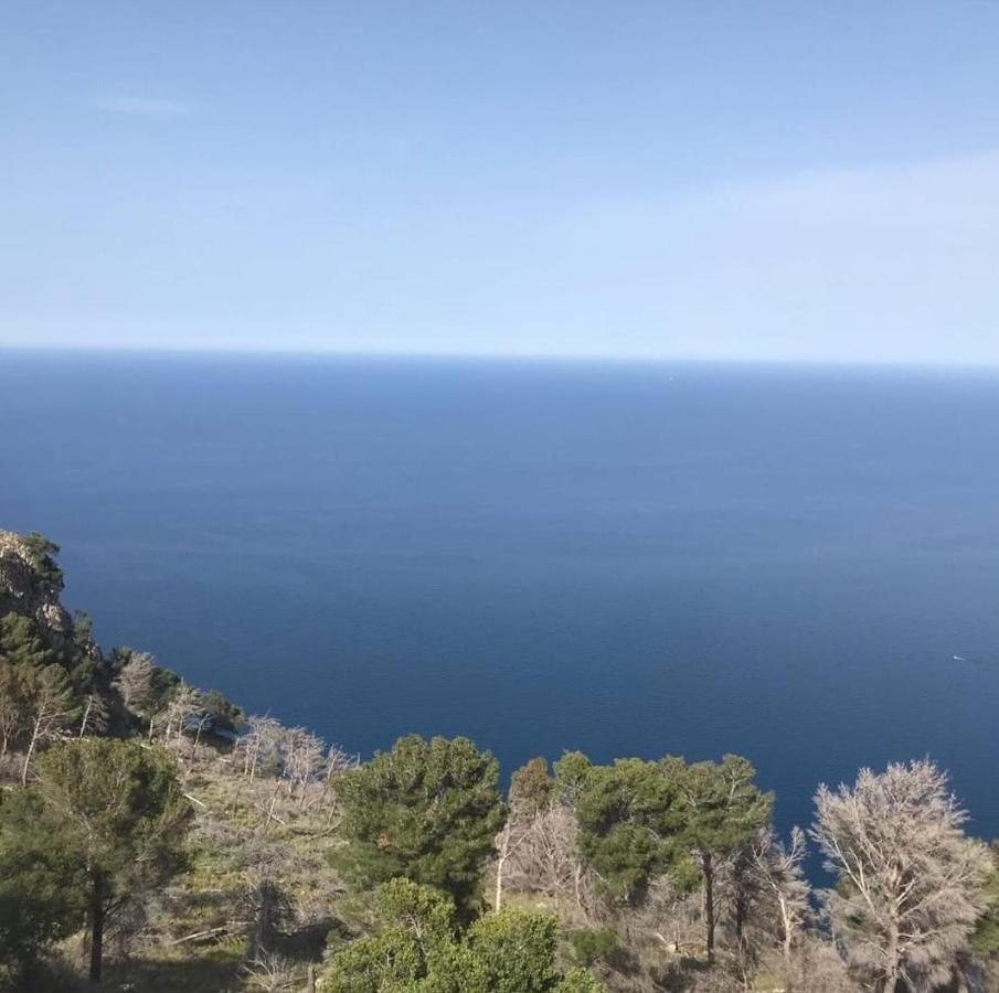 La Trinacria Mare Leilighet Palermo Eksteriør bilde
